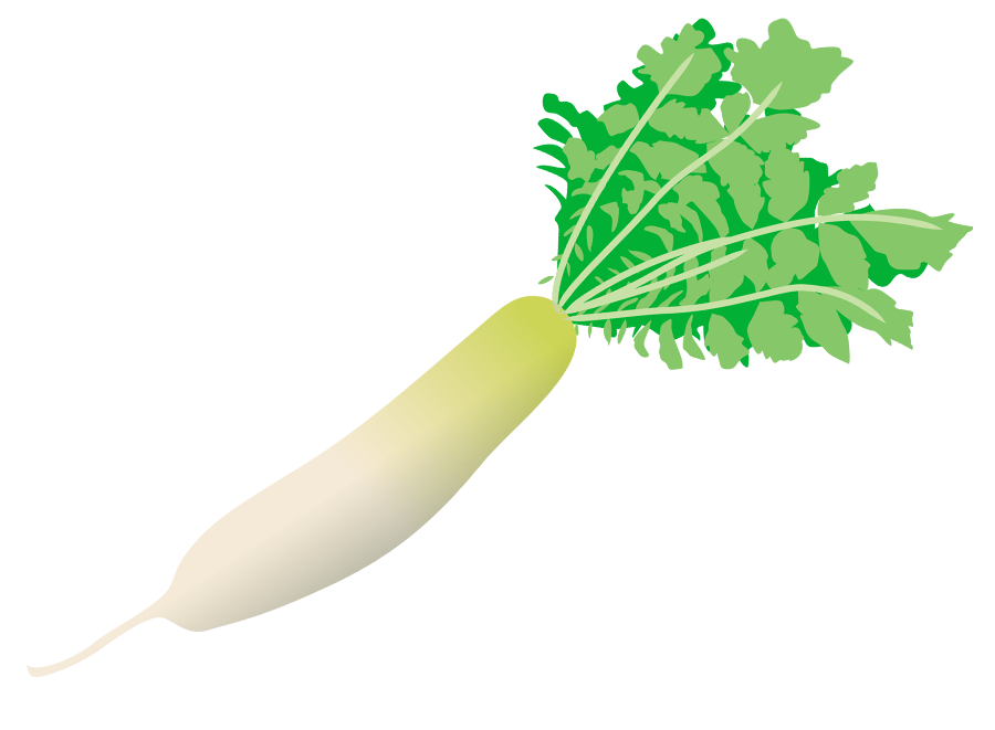 だいこんのイラスト