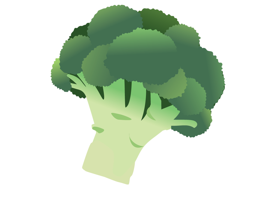 ブロッコリーのイラスト