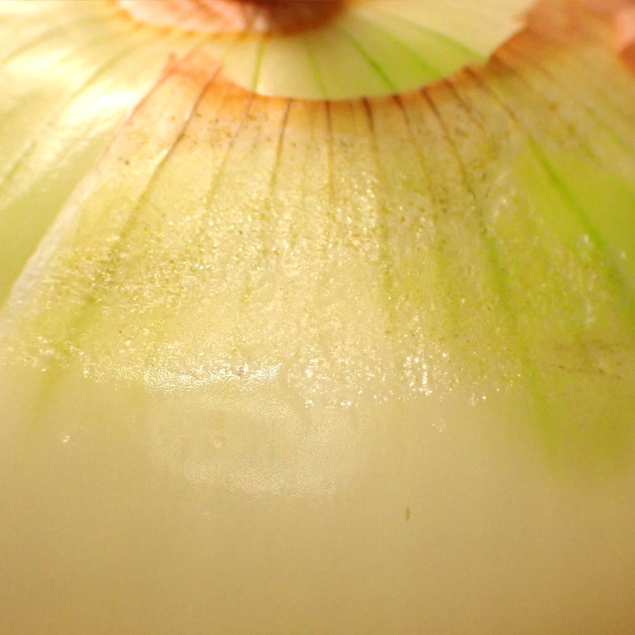 アザミウマ類　多発した場合は可食部の鱗片付近にアザミウマが潜り込み、加害する場合がある。