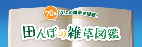 田んぼの雑草図鑑