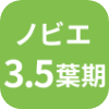 ノビエ3.5葉期