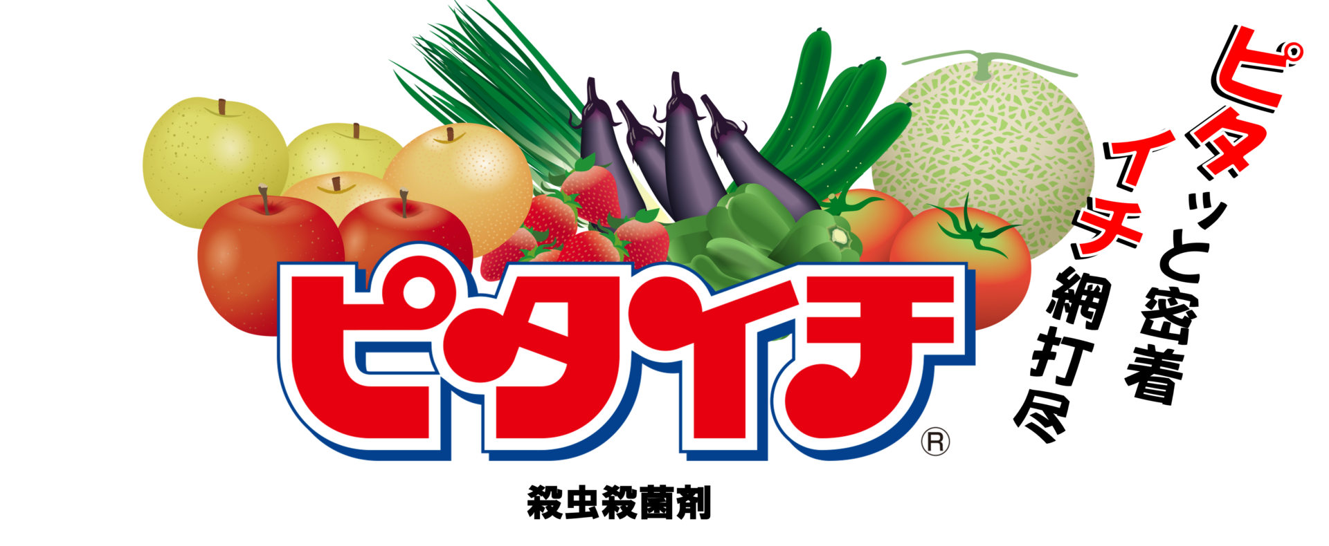 ハダニ、アブラムシ、うどんこ病、アザミウマの防除に　気門封鎖剤「ピタイチ」　殺虫殺菌剤