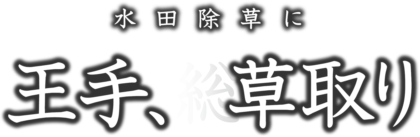 Catchphrase